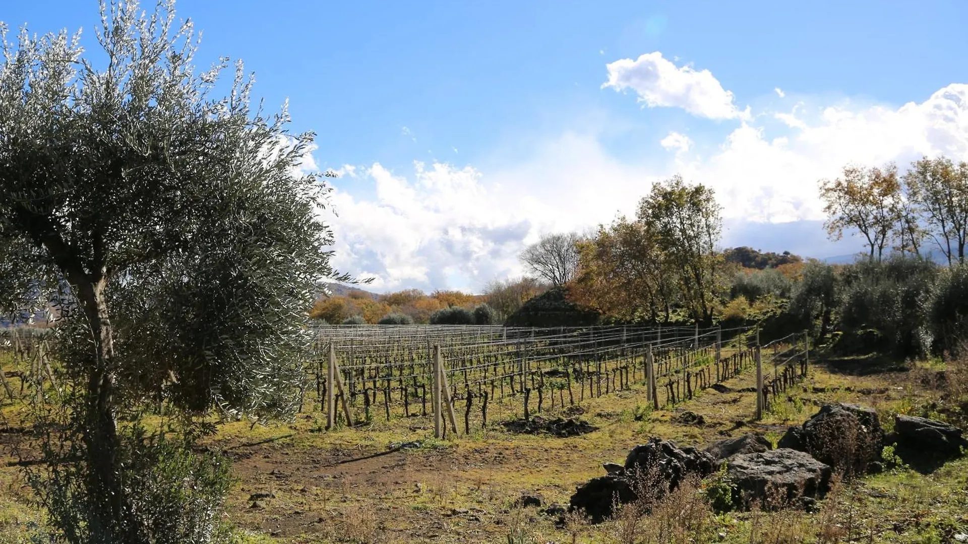 Villa Dei Baroni Wine Resort Castiglione De Sicilia Włochy